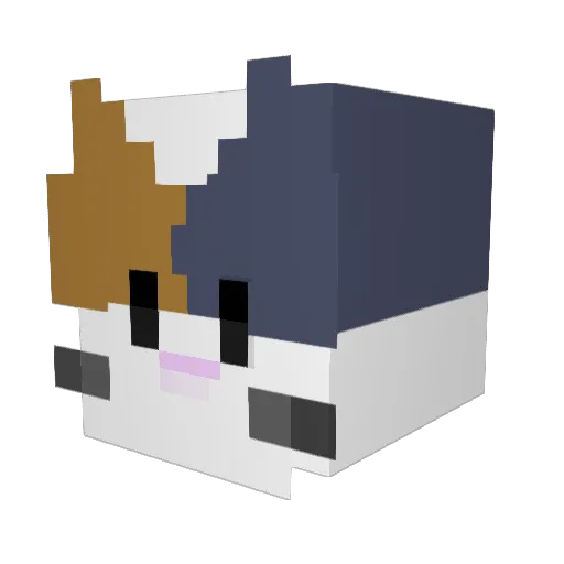 Lill1027 Minecraft avatar head, 3D render