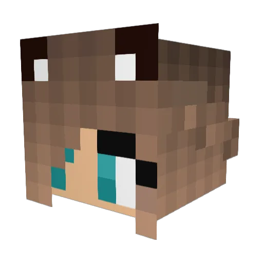 Lill73 Minecraft avatar head, 3D render