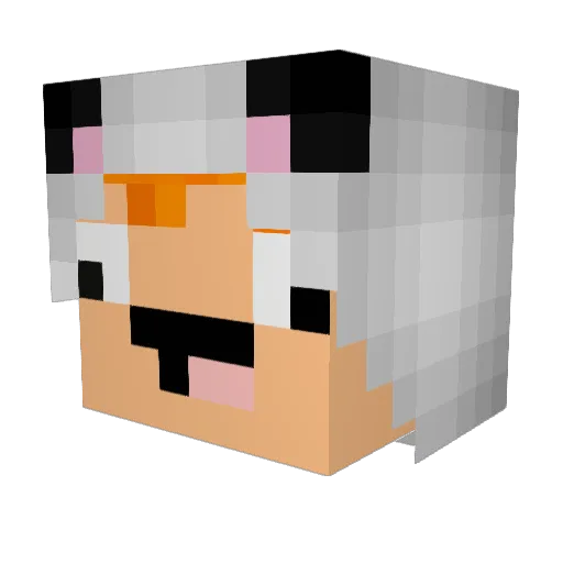 LillTokken Minecraft avatar head, 3D render