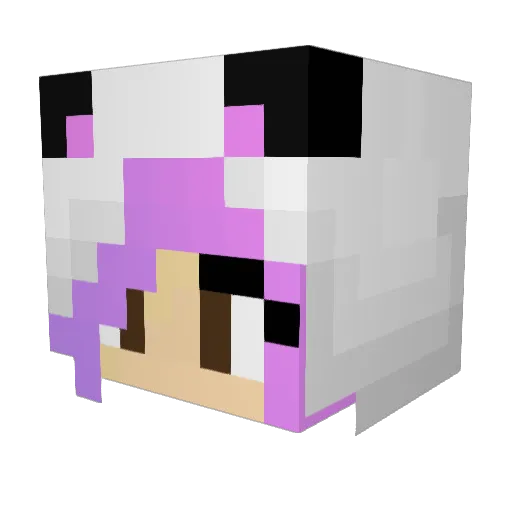 Lilla73 Minecraft avatar head, 3D render