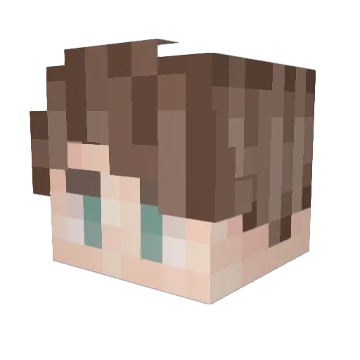 Lillbus2005 Minecraft avatar head, 3D render