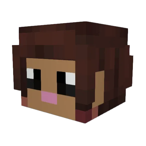 Lilldipper Minecraft avatar head, 3D render