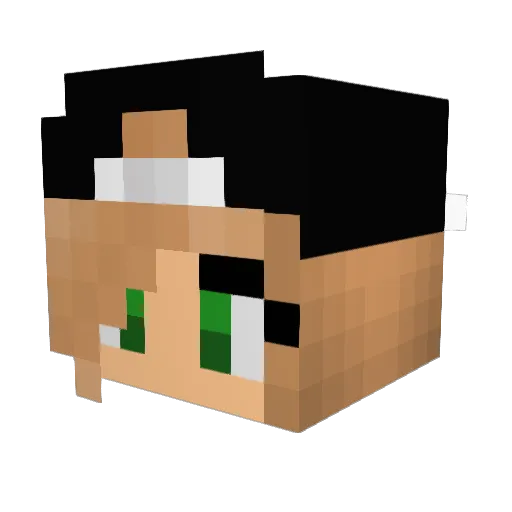 LilleNille Minecraft avatar head, 3D render