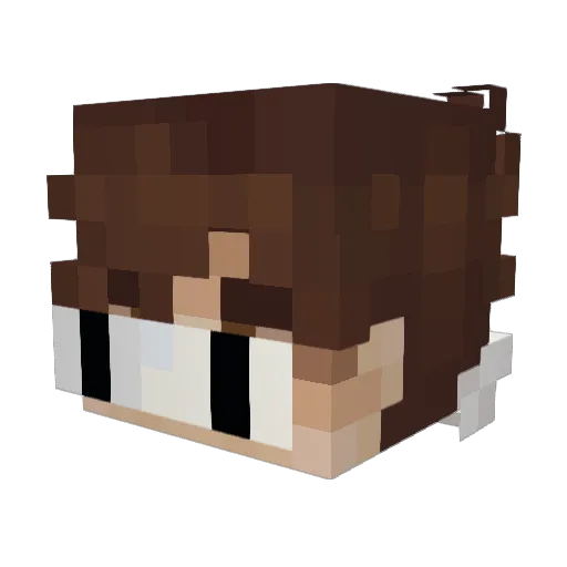 LilleTrille09 Minecraft avatar head, 3D render