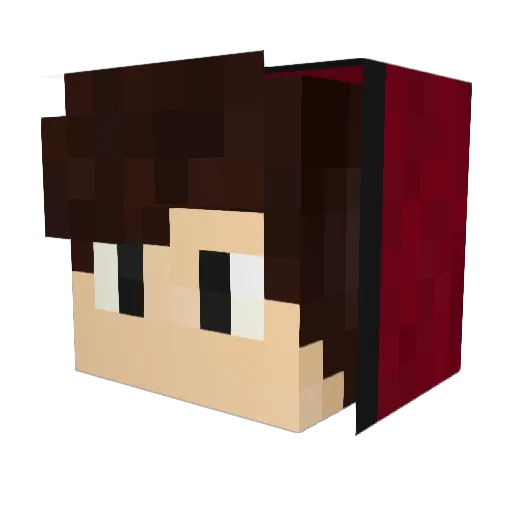 Lillebr0r1 Minecraft avatar head, 3D render