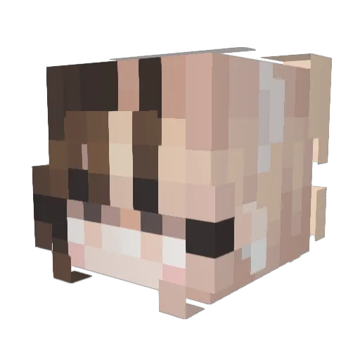 Lillediana Minecraft avatar head, 3D render
