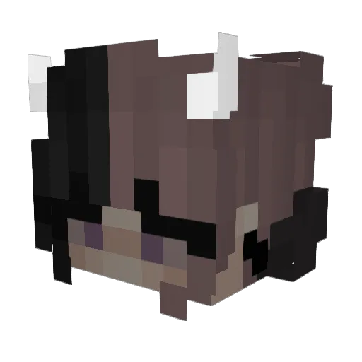 Lillerz Minecraft avatar head, 3D render