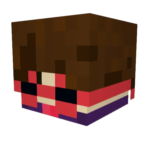 Lillgren Minecraft avatar head, 3D render
