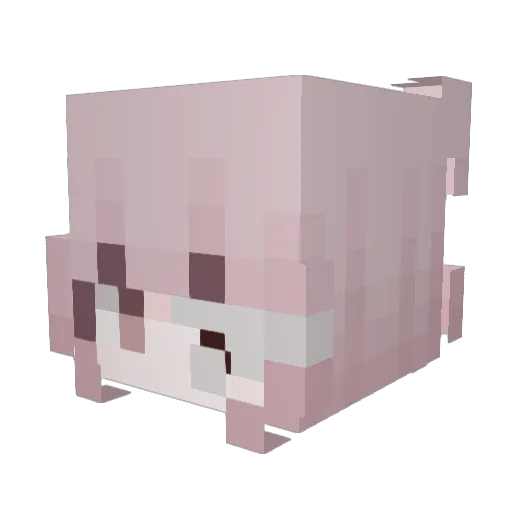 Lilli070714 Minecraft avatar head, 3D render
