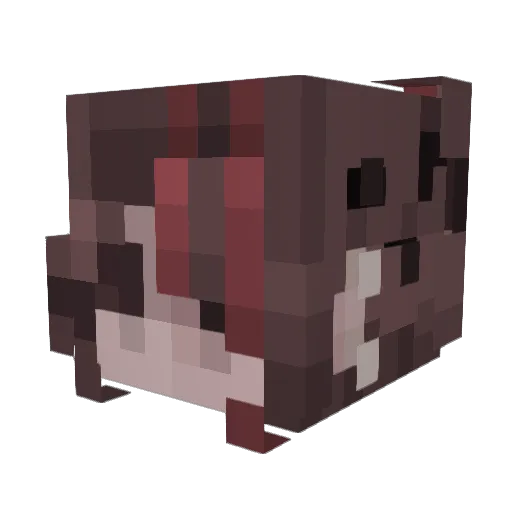 LilliBug10 Minecraft avatar head, 3D render