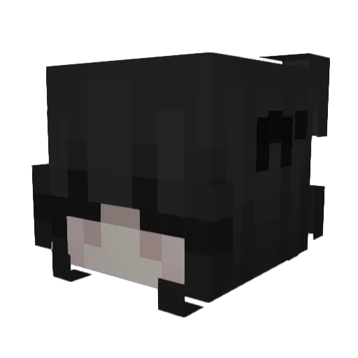 Lillia___ Minecraft avatar head, 3D render