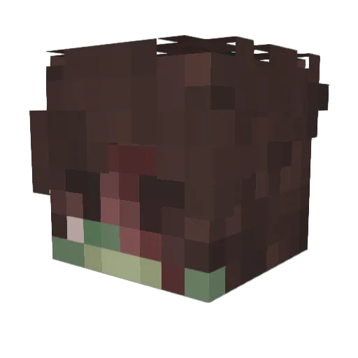 Lillian9511 Minecraft avatar head, 3D render