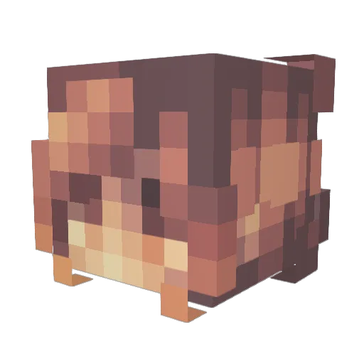 Lillian_not_swag Minecraft avatar head, 3D render