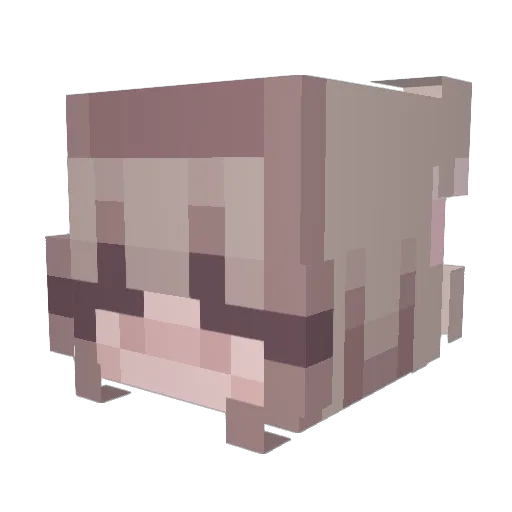 Lillien1503 Minecraft avatar head, 3D render