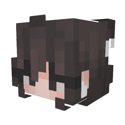 Lillipad2000 Minecraft avatar head, 3D render