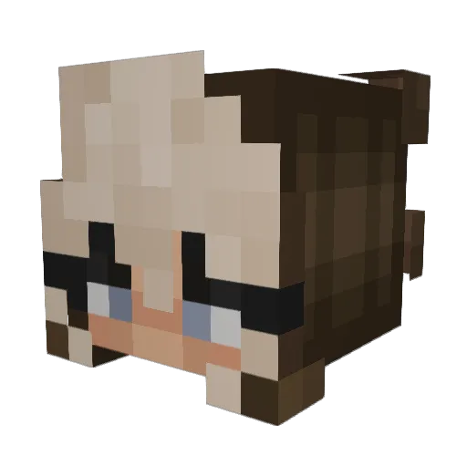 Lillnissen Minecraft avatar head, 3D render