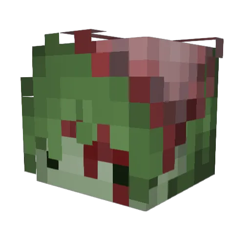 Lilly07XD Minecraft avatar head, 3D render