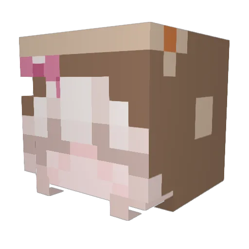Lilly0812 Minecraft avatar head, 3D render