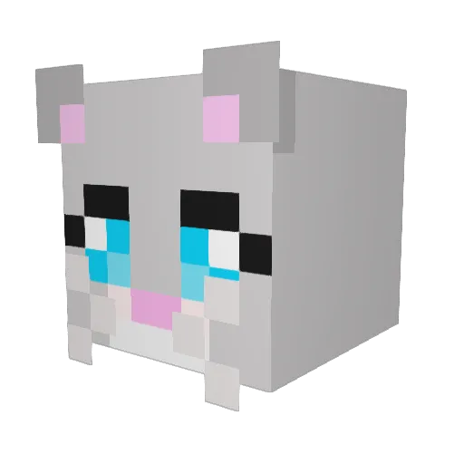 Lilly1220 Minecraft avatar head, 3D render