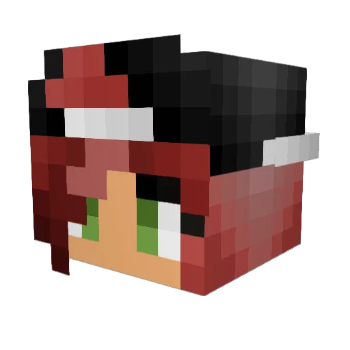 Lilly1256 Minecraft avatar head, 3D render