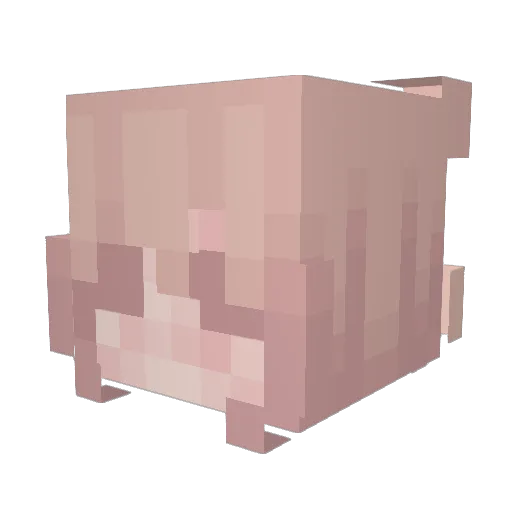 Lilly292 Minecraft avatar head, 3D render