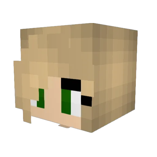 Lilly422 Minecraft avatar head, 3D render