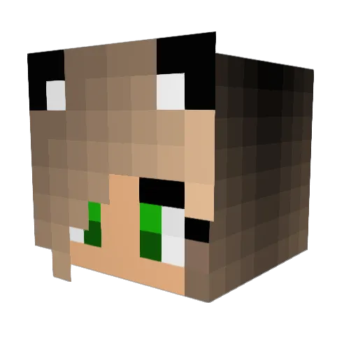 Lilly66 Minecraft avatar head, 3D render