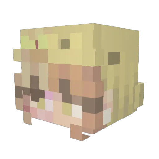 LillyMay18 Minecraft avatar head, 3D render