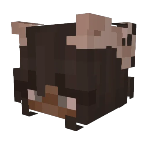 LillyPink06 Minecraft avatar head, 3D render