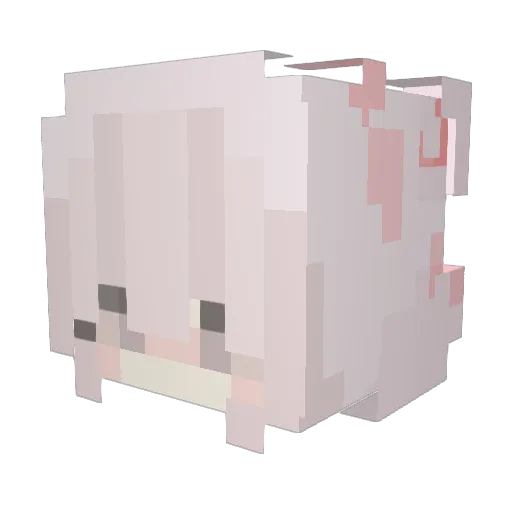 LillyShell Minecraft avatar head, 3D render