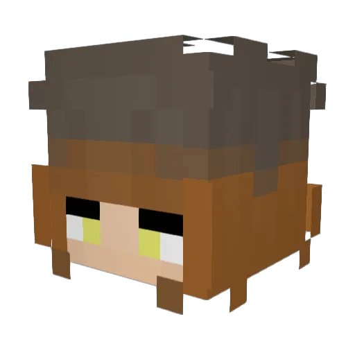 LillyYT2007 Minecraft avatar head, 3D render