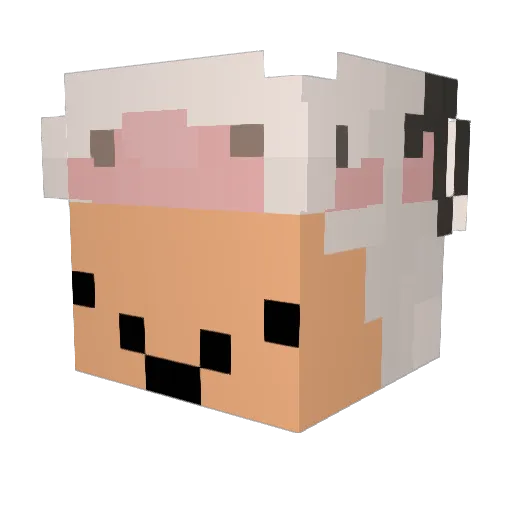 Lilly_Sel Minecraft avatar head, 3D render