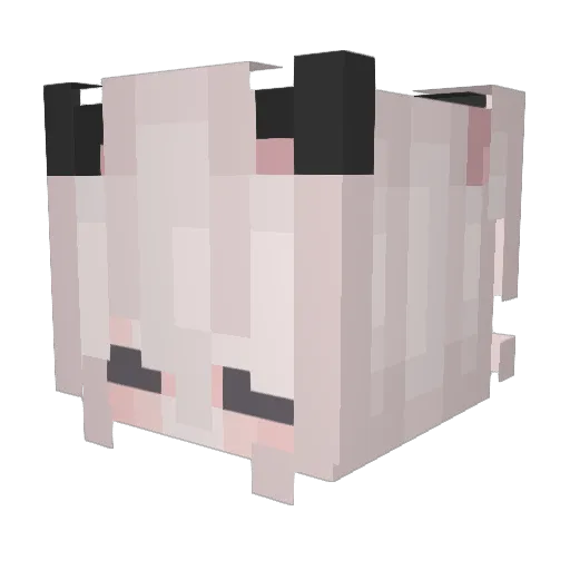 Lilly_Star Minecraft avatar head, 3D render