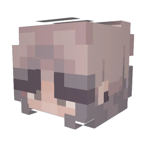 Lillyflower1755 Minecraft avatar head, 3D render