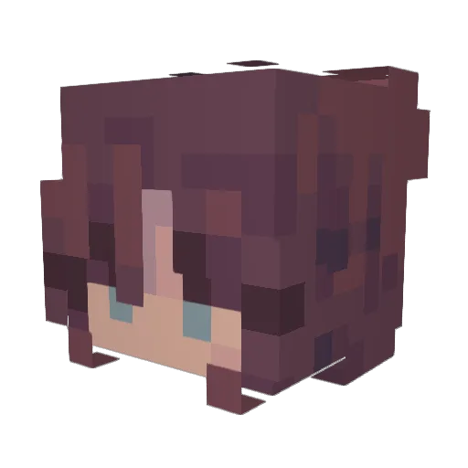 Lillypaige51 Minecraft avatar head, 3D render