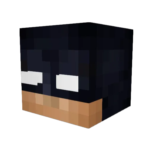 Lilnoodle277 Minecraft avatar head, 3D render