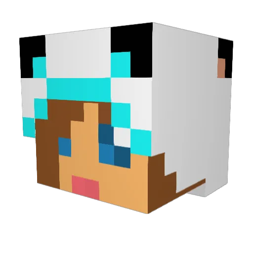 Lilo_007 Minecraft avatar head, 3D render