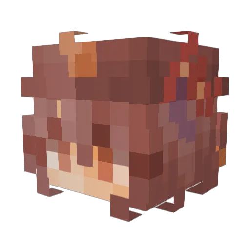 Lilo_is1 Minecraft avatar head, 3D render