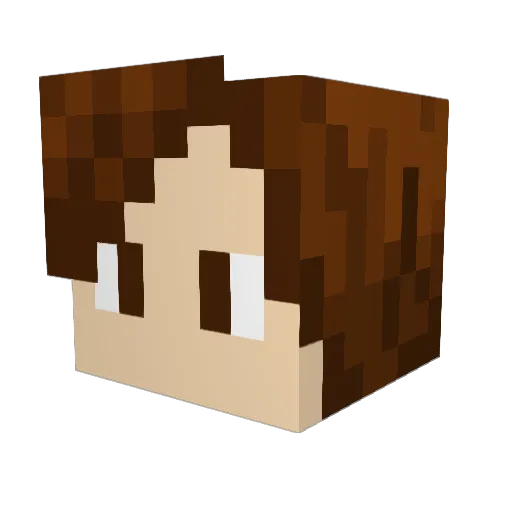 Lilord2 Minecraft avatar head, 3D render