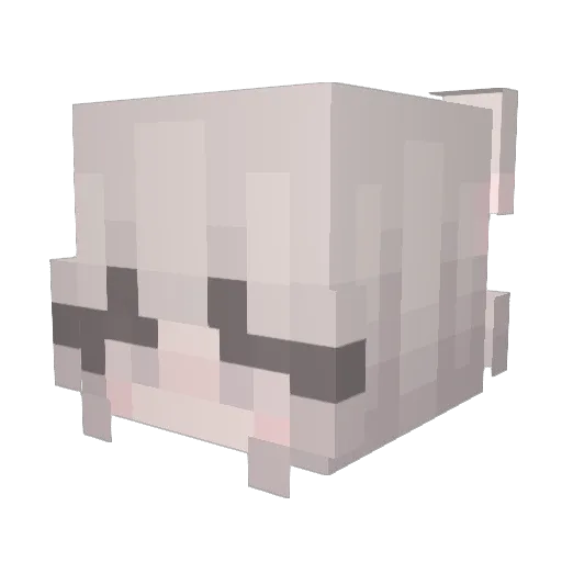Lilou4542 Minecraft avatar head, 3D render