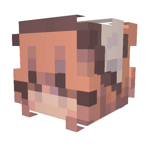 LilouX3 Minecraft avatar head, 3D render
