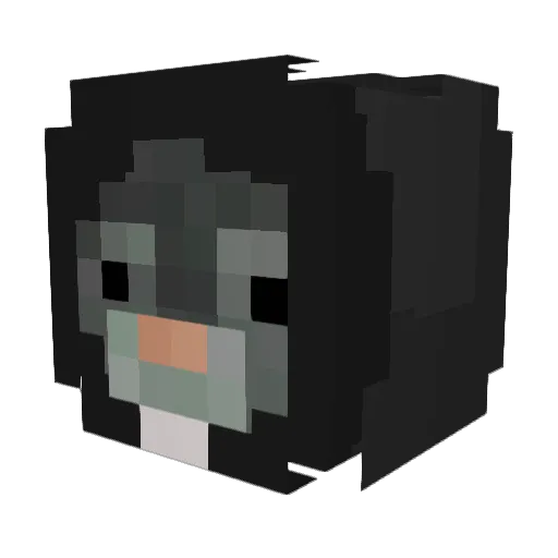 Lilpinch Minecraft avatar head, 3D render