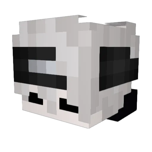 Lilrayrayy Minecraft avatar head, 3D render