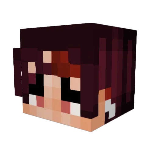 Lilsal1205_ Minecraft avatar head, 3D render