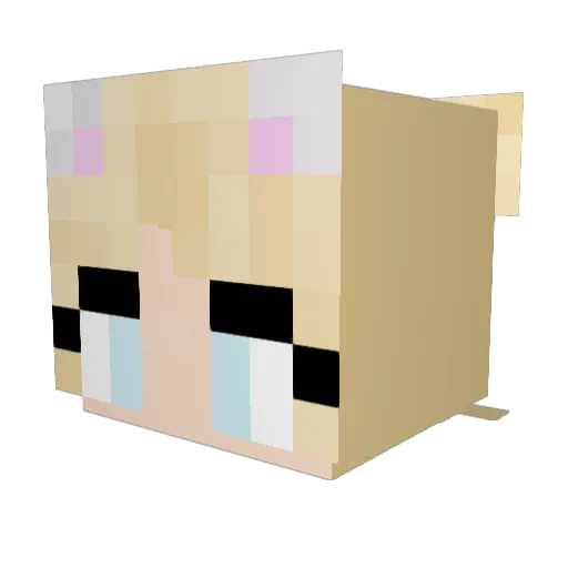 Lilshawty400 Minecraft avatar head, 3D render