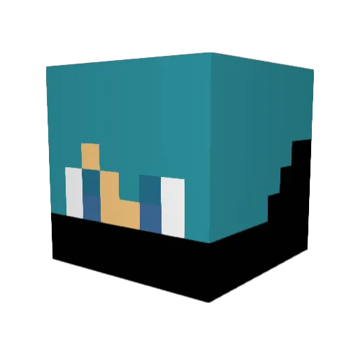 Lilsoccerstud Minecraft avatar head, 3D render