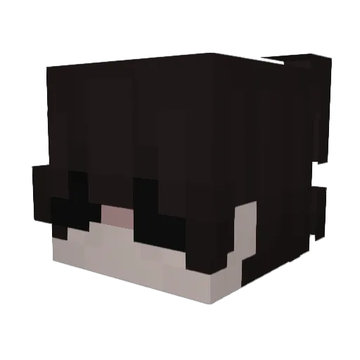Lilson_12 Minecraft avatar head, 3D render
