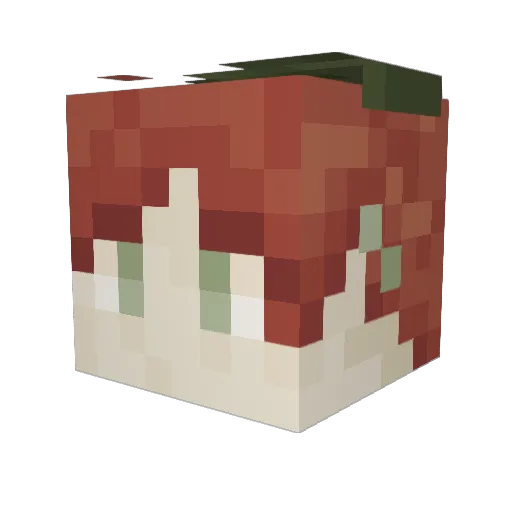 Lilsprout_12 Minecraft avatar head, 3D render