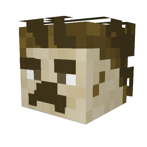 Lilster21 Minecraft avatar head, 3D render