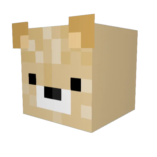 Liltokio Minecraft avatar head, 3D render